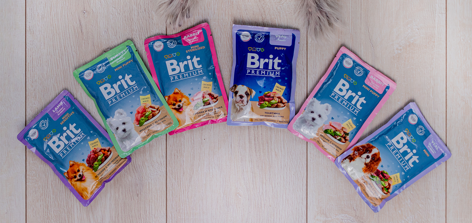 Фотосессия Brit Premium: паучи для собак!