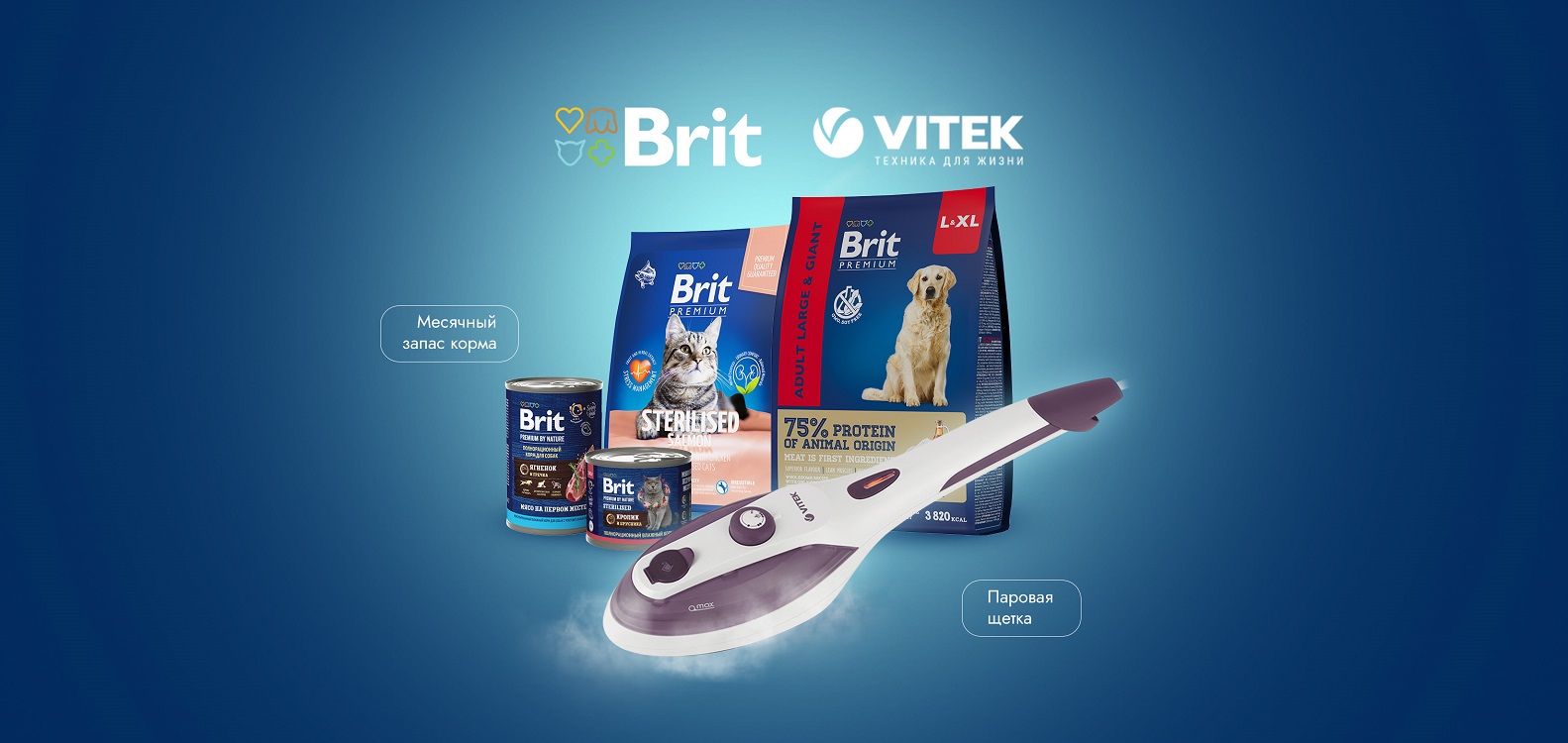 Розыгрыш от Brit Premium и VITEK