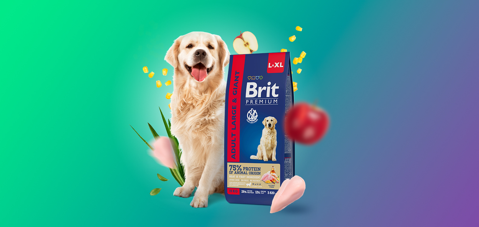 СБЕР МЕГАМАРКЕТ: Скидка 25% на сухой корм для собак Brit Premium