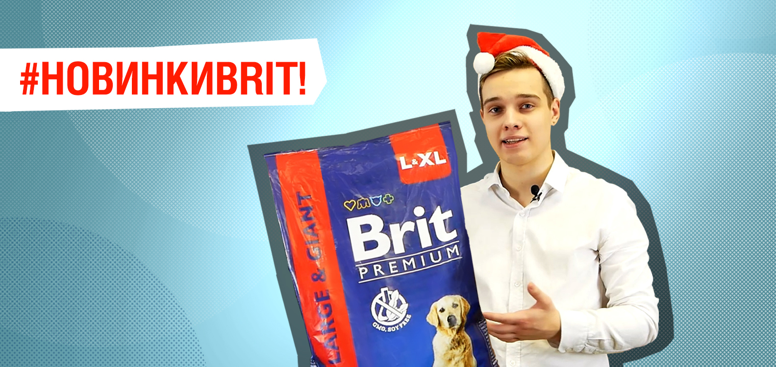 Brit Premium в регулярной упаковке уже на полках магазина
