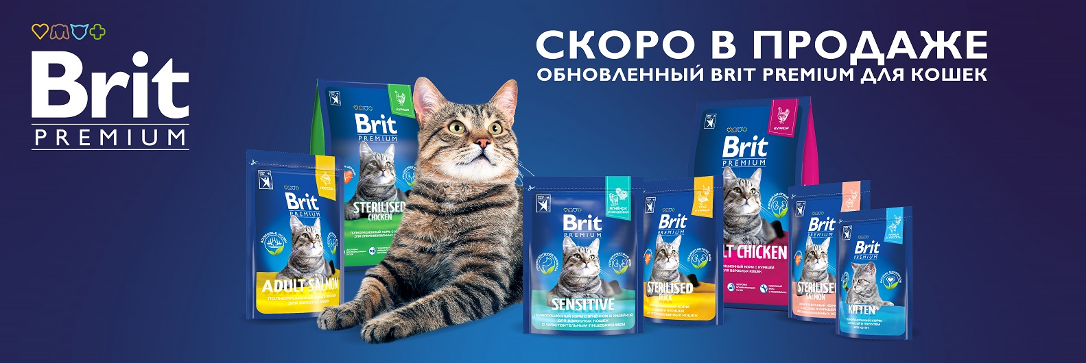 Обновленный Brit Premium для кошек скоро в продаже
