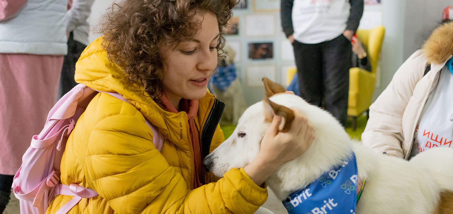 Brit на благотворительном фестивале «Собаки, которые любят» 12 марта